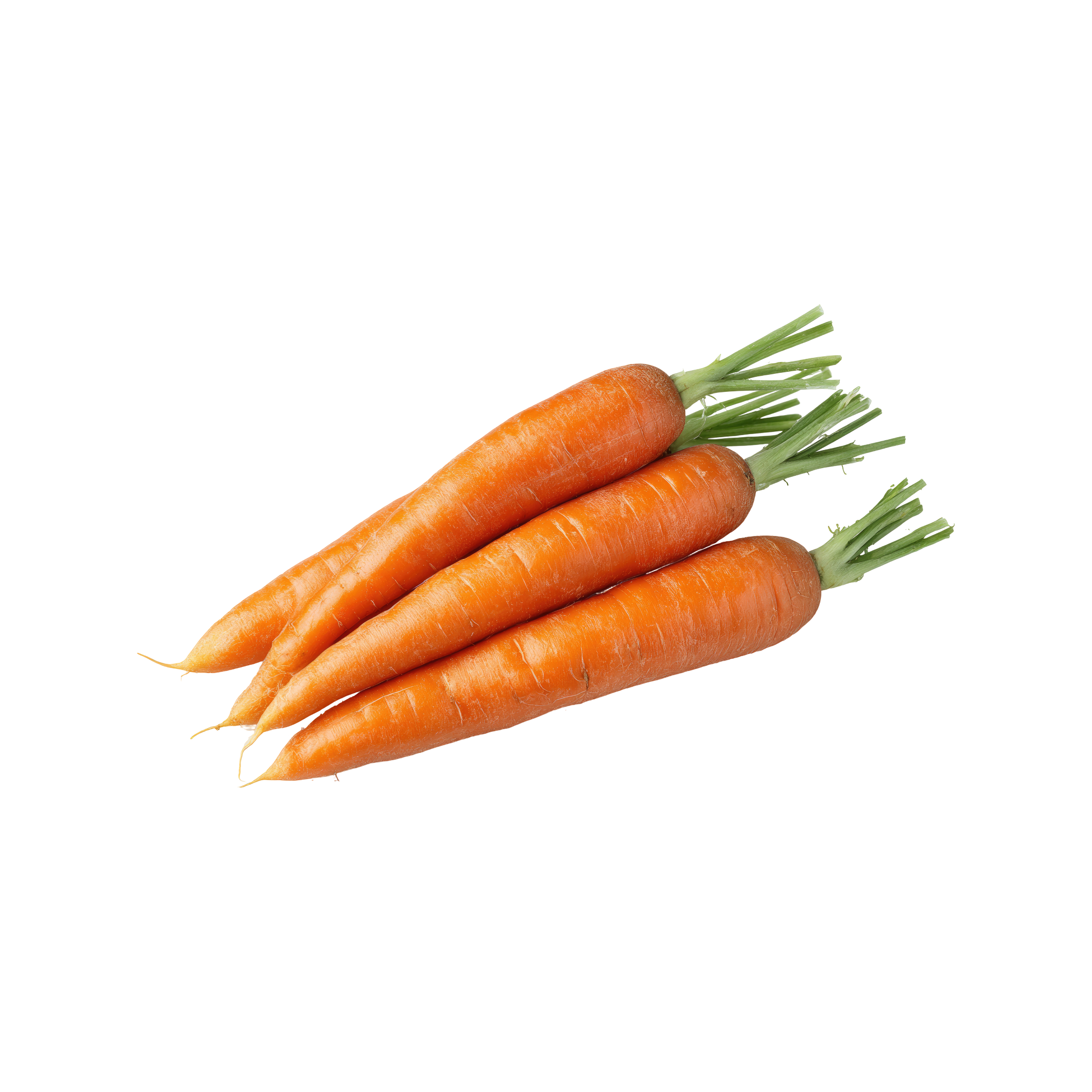 Carrot Imported (Wortel Impor) 500g