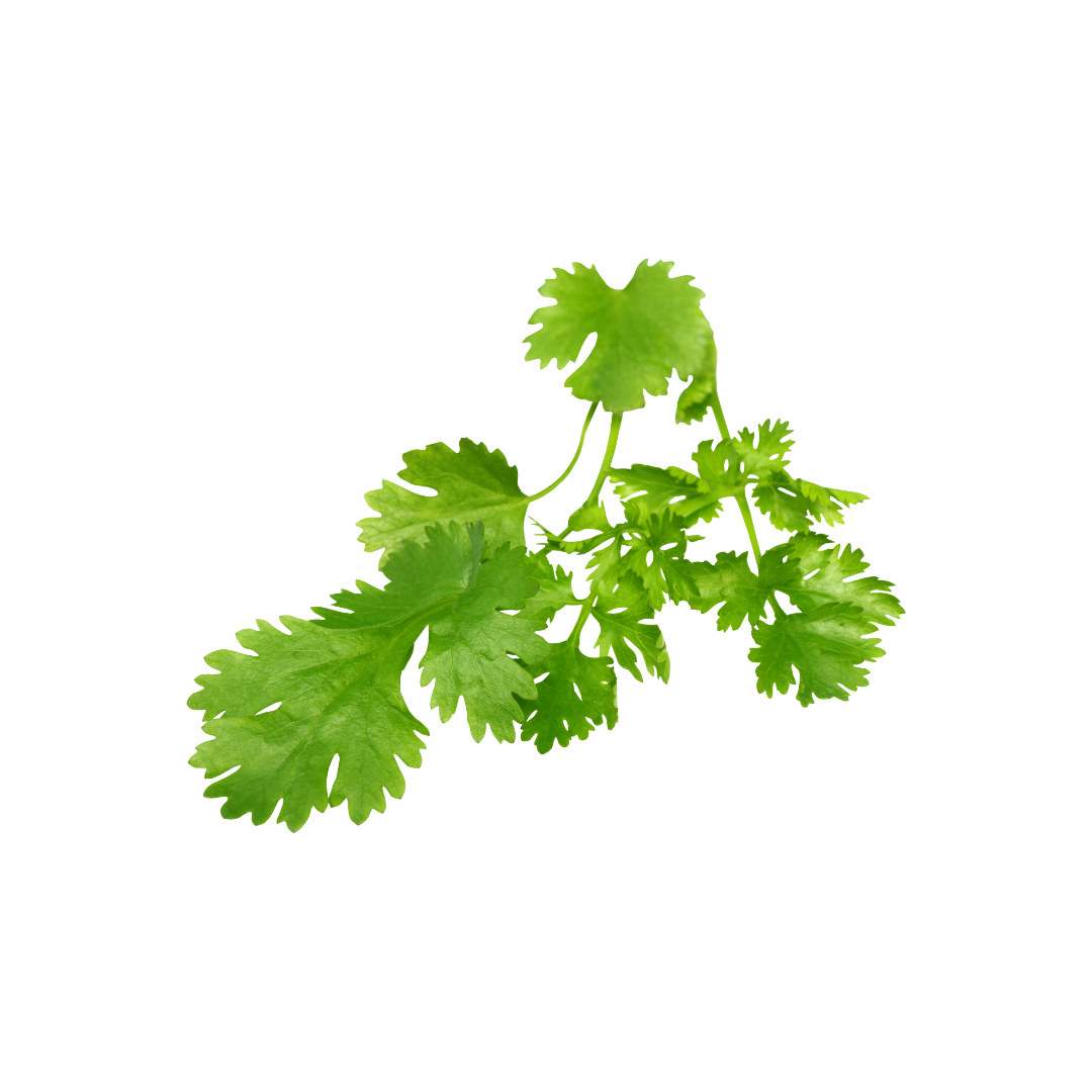 Coriander Leaf (Daun Ketumbar) 250g