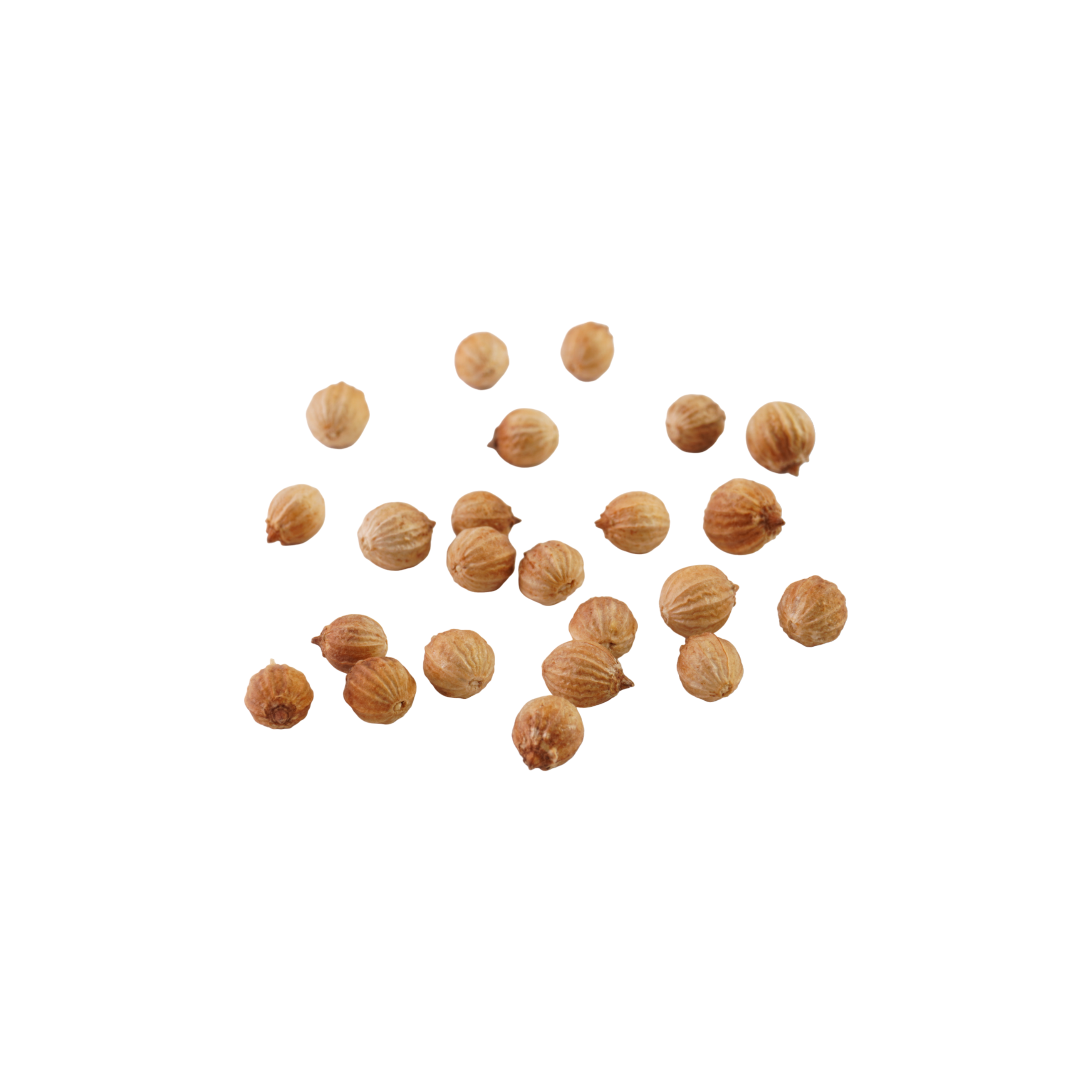 Coriander Seed (Biji Ketumbar) 250g