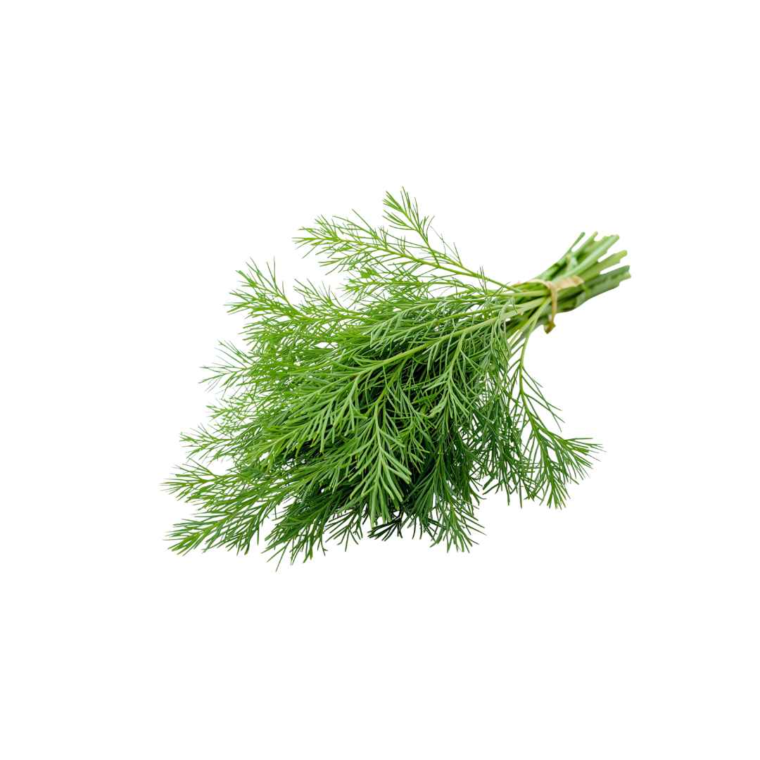 Dill 100g