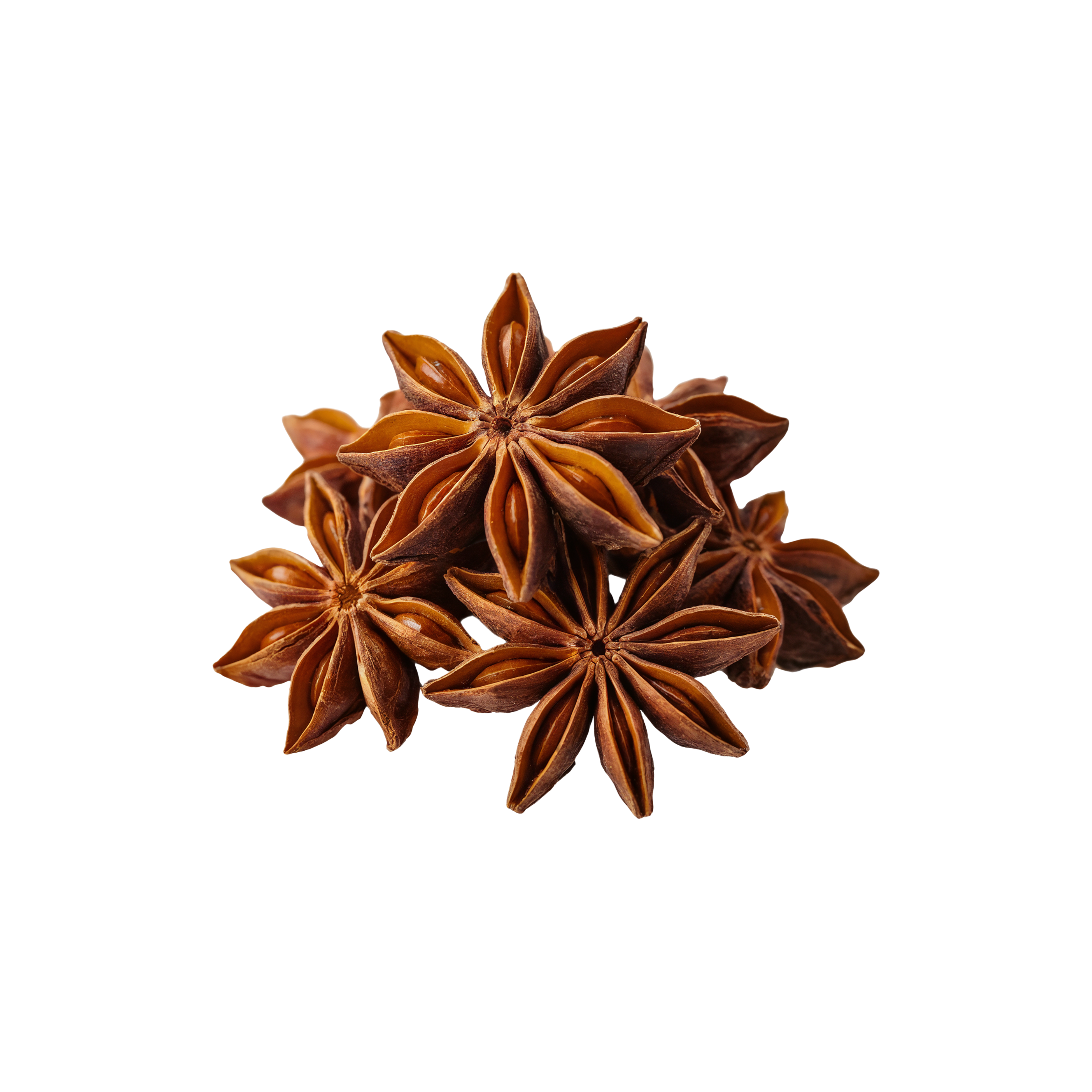 Star Anise (Bunga Lawang) 100g
