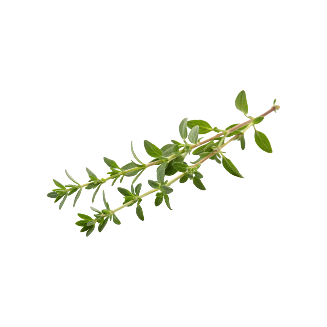 Thyme 100g