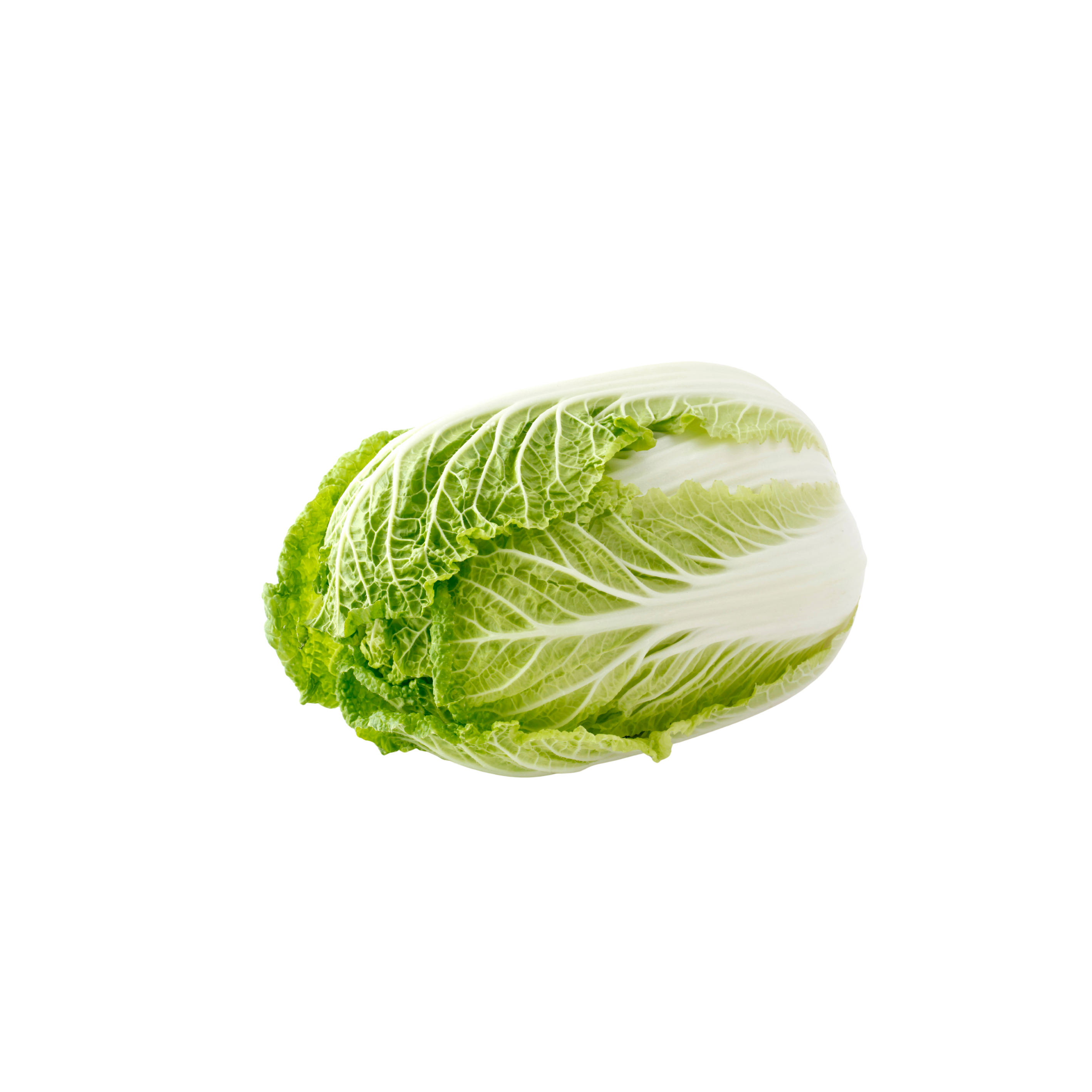 Chinese Cabbage (Sawi Putih) 500g